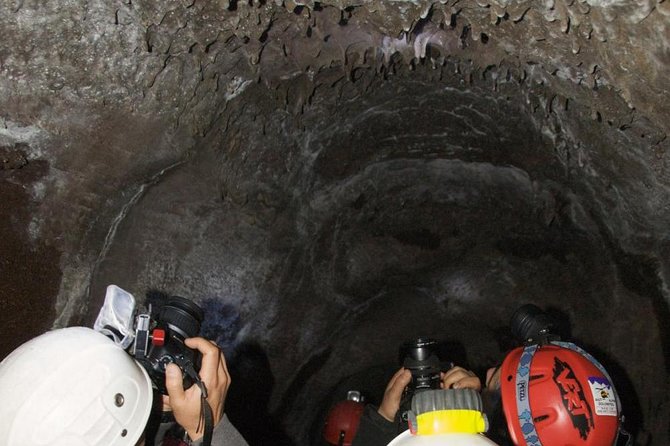 Mt. Etna nature and flavors half day Tour from Catania - What the $71.35 price really includes