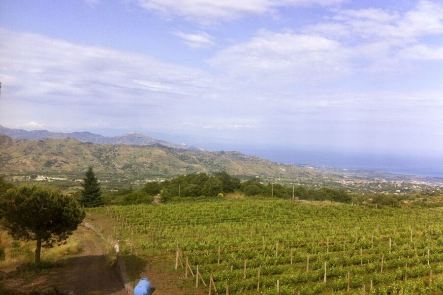 Mt. Etna Private Tour with Food and Wine Tasting - Why this Etna day works so well