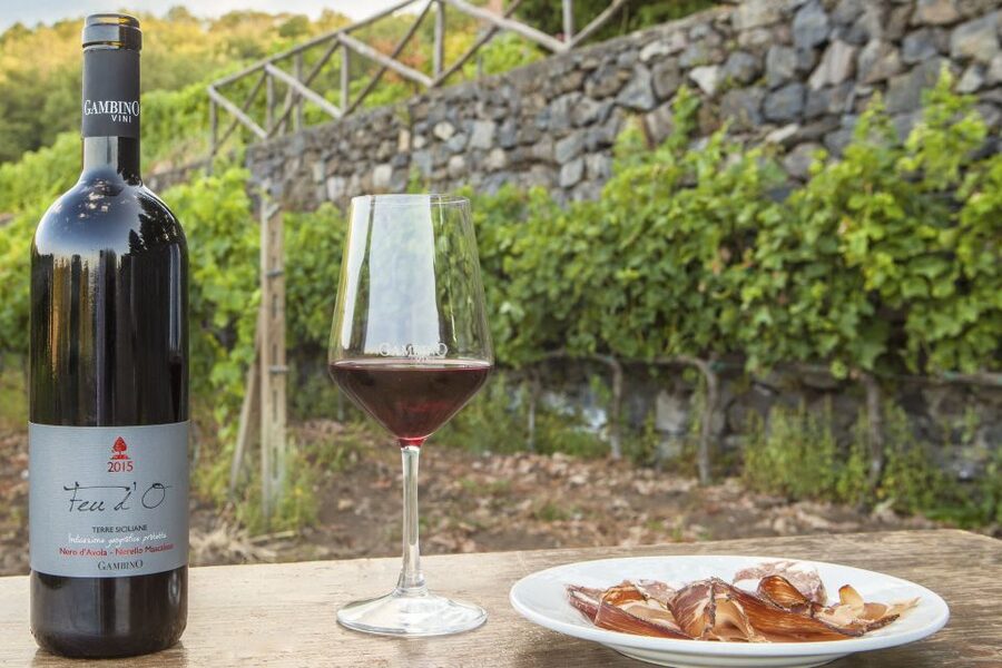 Mt. Etna Private Tour with Food and Wine Tasting - What the private format adds