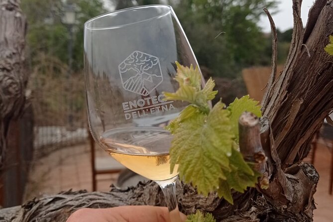 Mt. Etna trekking and Wine tasting - From Syracuse - What the $171.60 price really covers