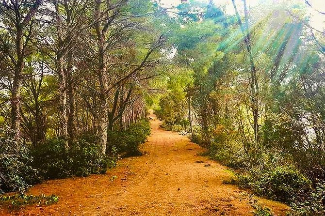 Naturalistic excursion to Ustica - Why Ustica’s woodland walk is worth your evening