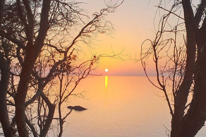 Naturalistic excursion to Ustica - The tree-contact activity and what to expect