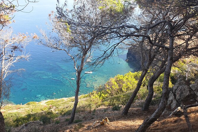 Naturalistic excursion to Ustica - How much value do you get for $17.35?
