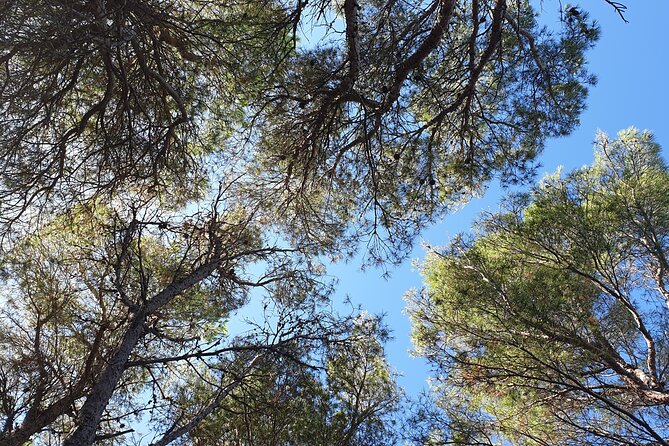 Naturalistic excursion to Ustica - Who will enjoy this Ustica experience?