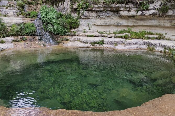 Nature Reserve ,Trekking Eco Tour in Iblei National Park - Timing, weather, and the feel of the day