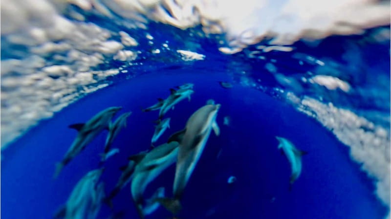 Naxos: Taormina Boat Tour with Snorkeling and Prosecco - The Blue Grotto and White Lotus connections