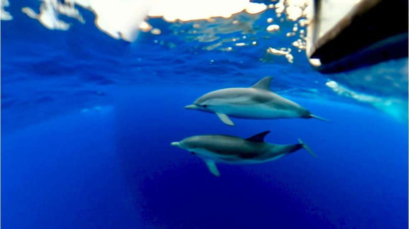 Naxos: Taormina Boat Tour with Snorkeling and Prosecco - Who will enjoy this boat trip most