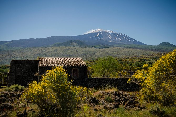 Old Sicily discovery and Etna wine tasting tour from Taormina - From Taormina to the Alcantara Gorges