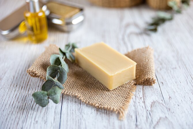 Olive harvest, visit to the oil mill and typical lunch - Is $120.41 a fair price?