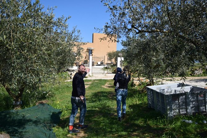 Olive Oil Experience - Who will get the most from this visit