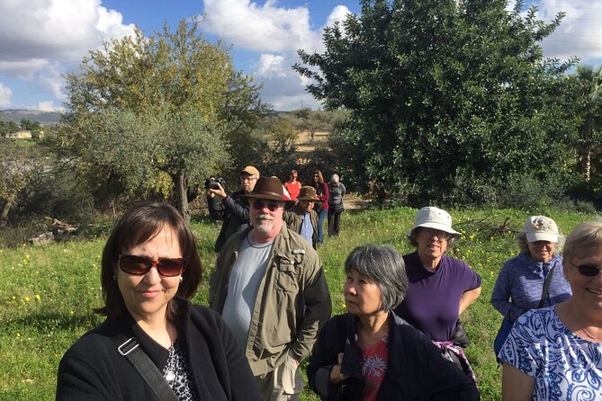 Olive Oil Tasting & Historic Olive Mill Tour in Ragusa area - Premium oils and the flavored oil lineup
