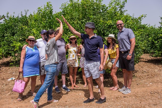 Olive oil tasting in Syracuse, Sicily - Evoo Tour - Is $96.11 a fair price for one hour?