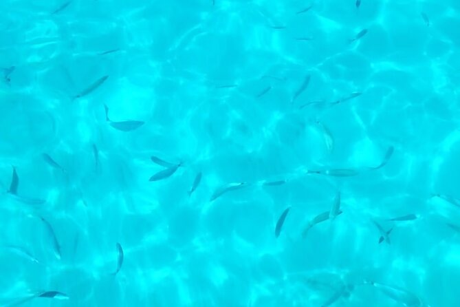 One and a half hour boat excursion to Scala Dei Turchi - Who should book it