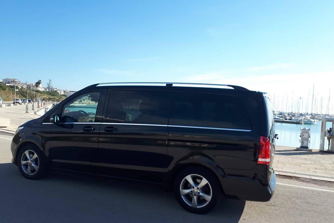 One Day Sicily Tour fom Malta - The private minivan makes the schedule workable