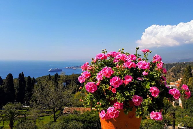 One Day Sicily Tour fom Malta - Mount Etna: grand views without a full volcano visit