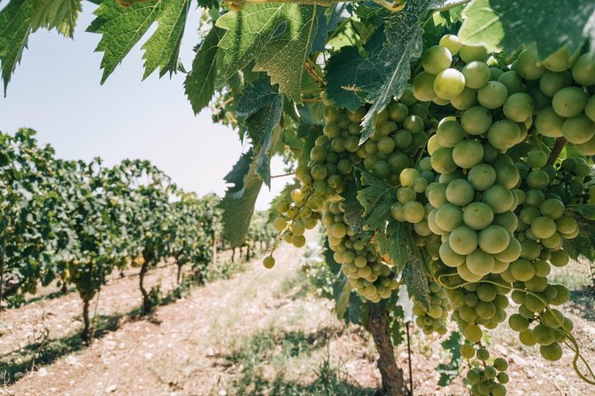 Origins - Arriving at Strada Mura di Dionisio at 11:00