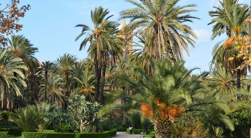 Palermo: Art and Architecture Walking Tour - Why this Palermo walk works so well