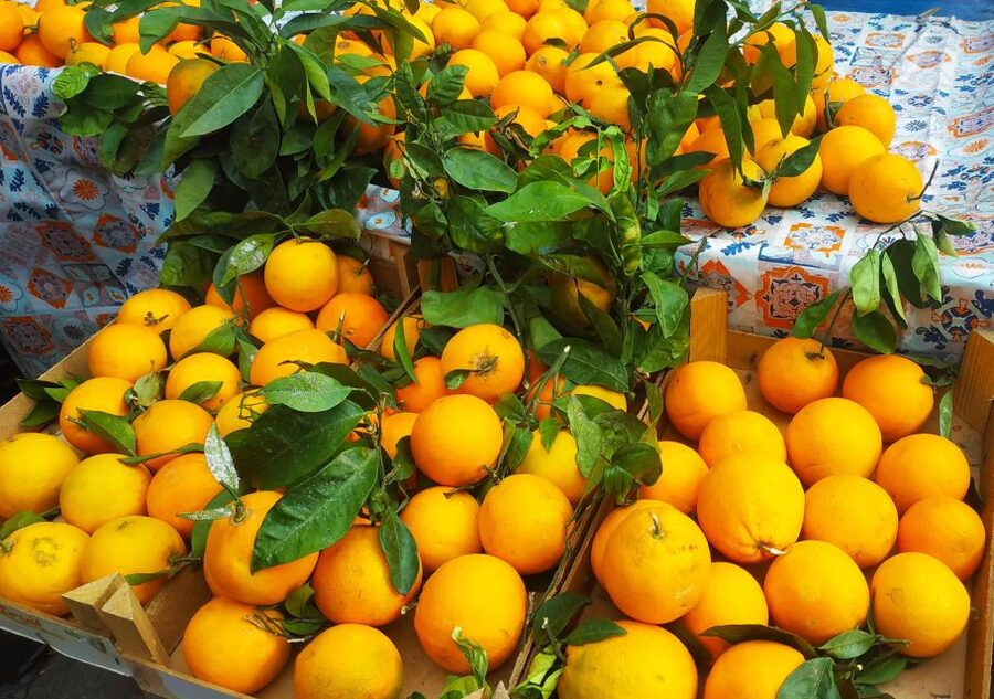 Palermo: Street Food Walking Tour with Local Guide & Tasting - Why this Palermo food walk works
