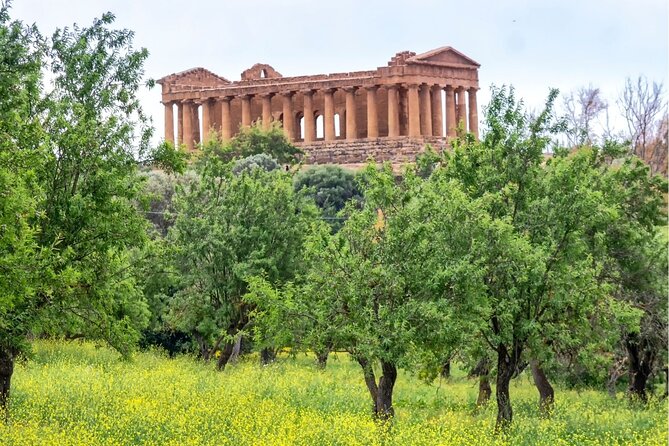Palermo to Siracusa: stop at Valley of Temples & Roman Villa - Lunch, rest stops, and the case for a picnic
