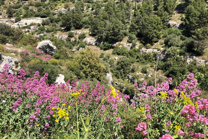 Pantalica Nature Reserve Walking Tour - Leaving Syracuse by private vehicle