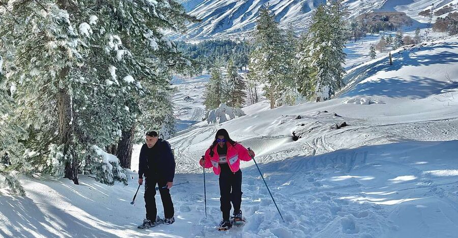 Piano Provenzana: Guided Mt. Etna Snowshoeing Trek - Snowy woods, black lava, and a changing view