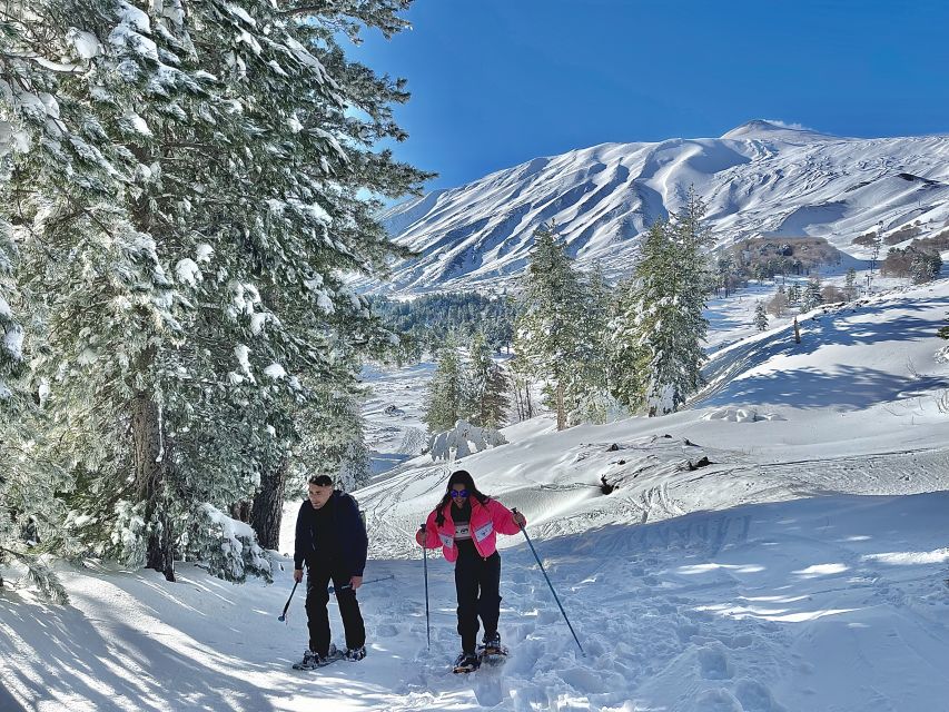 Piano Provenzana: Guided Mt. Etna Snowshoeing Trek - What the three-hour schedule feels like