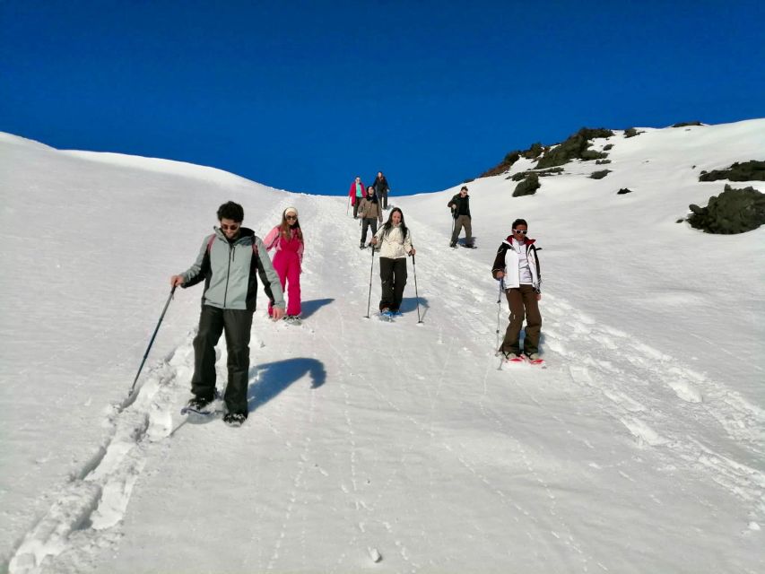 Piano Provenzana: Guided Mt. Etna Snowshoeing Trek - Who should book this Etna hike?