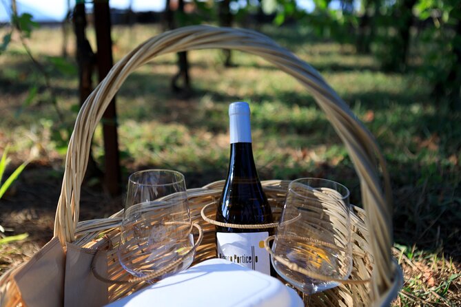 Pic-nic in the vineyard - The bottle choice: four wines with different personalities