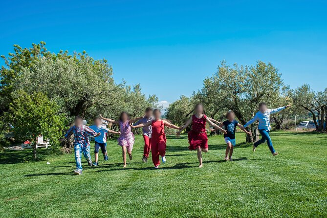 Picnic on the lawn -aromatic garden and winery - Walking Through Vineyards and Olive Groves