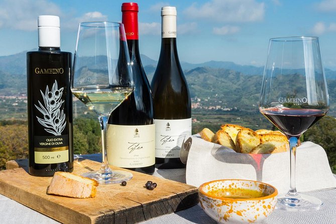 Private 6-Hour Tour of Three Etna Wineries with food&wine tasting - Why Etna wine country is worth your day