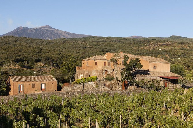 Private 6-Hour Tour of Three Etna Wineries with food&wine tasting - A guide can shape the whole experience