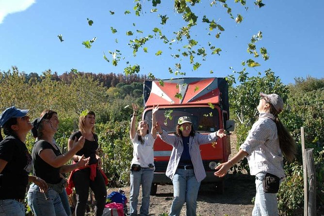 Private 6-Hour Tour of Three Etna Wineries with food&wine tasting - How much food and wine should you expect?