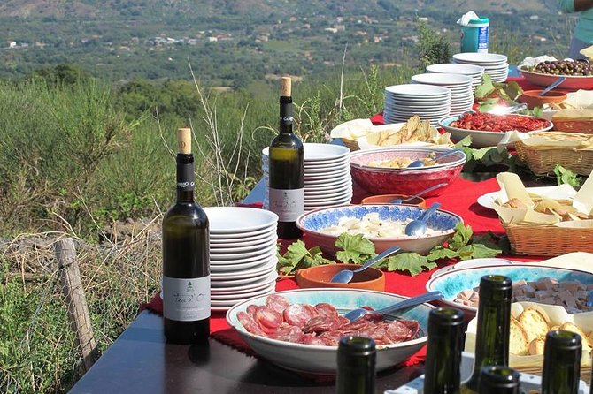 Private 6-Hour Tour of Three Etna Wineries with food&wine tasting - The $375 price and what you receive