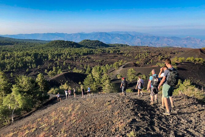 Private and Guided Tour on Etna with Wine Tasting included - Private transport from Catania or Taormina