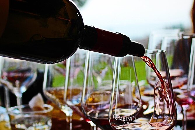 Private and Guided Tour on Etna with Wine Tasting included - Timing, weather, and the price