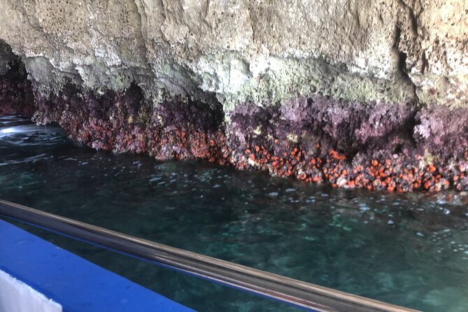 Private boat tour with prosecco and fresh fruit - Price, timing, and who gets the best value