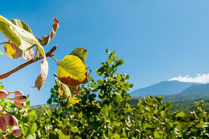 Private Etna tour and pistachio lunch in a pistachio farm - Why the Etna and pistachio pairing works