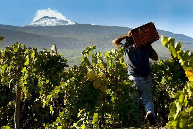 Private Etna tour from Messina Cruise Terminal+ Lunch at Winery - Lunch and four Etna DOC wines at the winery