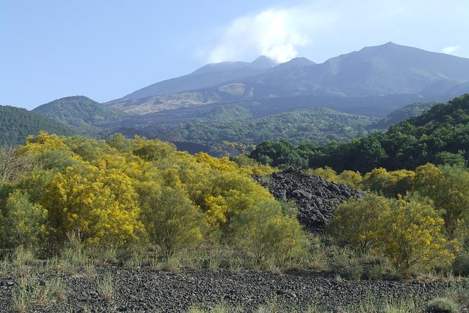 Private Etna tour from Messina Cruise Terminal+ Lunch at Winery - Why private transport changes the day