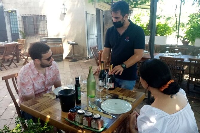 Private Etna tour from Messina Cruise Terminal+ Lunch at Winery - Who should book this Etna tour?