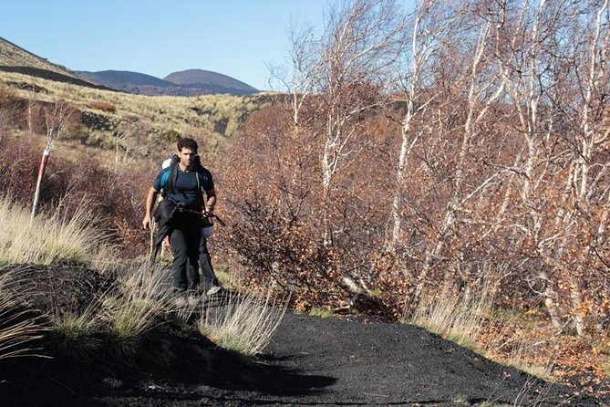 Private Etna Trekking half day tour from Taormina - Should you book this private Etna outing?