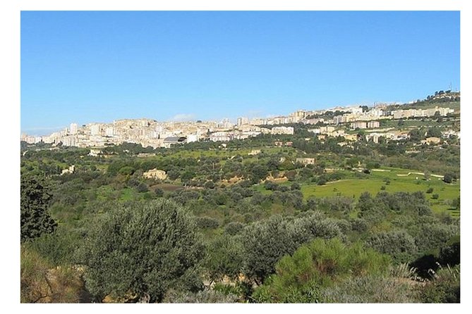 Private Full-Day Tour of Agrigento and Piazza Armerina - The Valley of the Temples: Greek monuments on a huge site