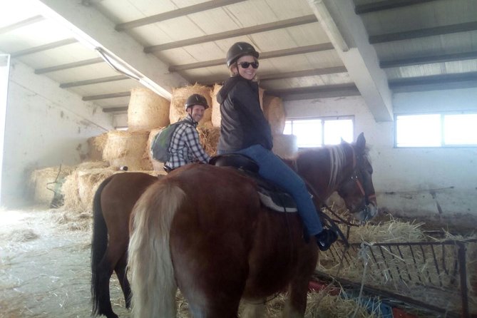 Private Horseback Riding Tour on Etna Area + Traditional Lunch - What the one-hour ride is really like