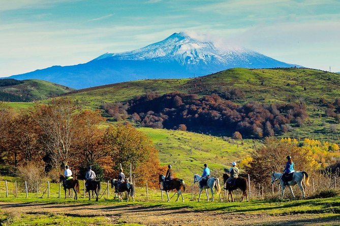 Private Horseback Riding Tour on Etna Area + Traditional Lunch - Is $349.63 per person fair value?