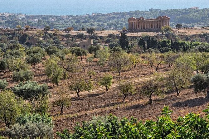 Private Tour Agrigento Valley of the Temples Park and Scala Dei Turchi - Who should book this experience