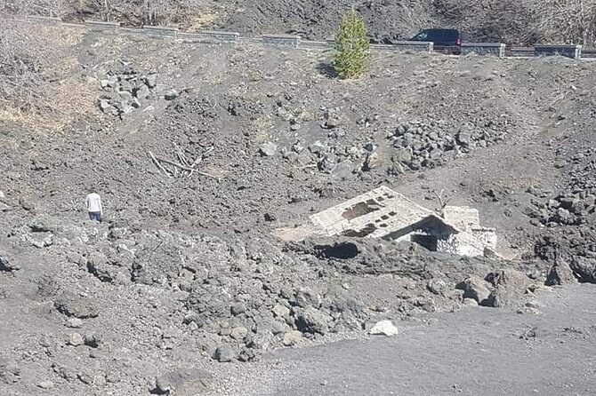 Private Tour from Catania to Etna Naxos and Taormina - Why this private Etna and Taormina day works