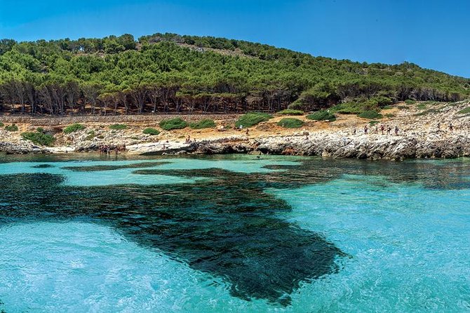 Private Tour Half Day Boat Trip in Favignana from Trapani - What is included on board