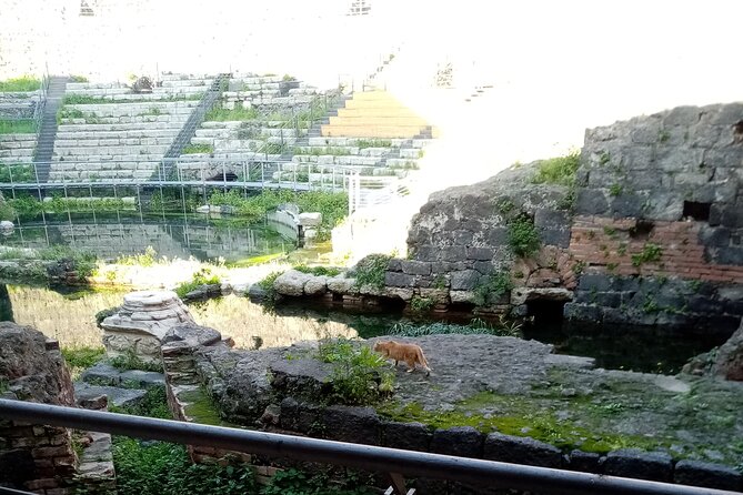Private tour of Catania and the Riviera of the Cyclops - Acitrezza and the Cyclops Coast