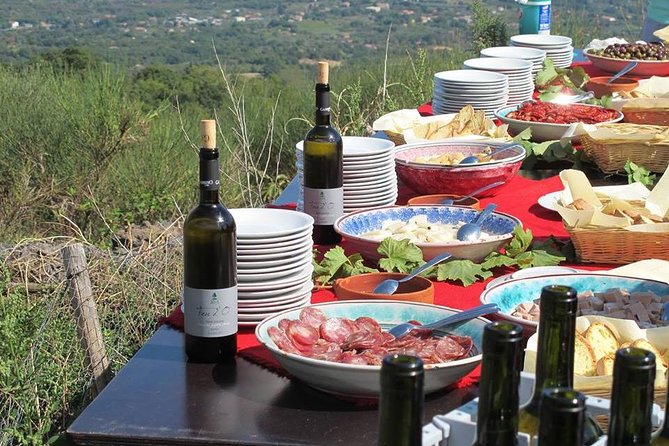 Private tour of Etna and Winery Visit with Food and Wine Tasting from Taormina - Why the winery lunch is more than a final tasting
