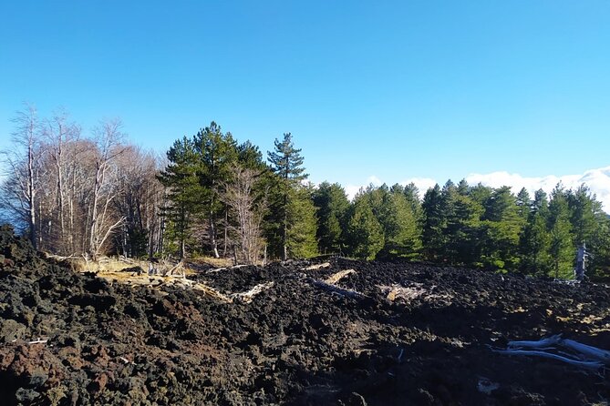 Private tour of Etna with food and wine tasting in the cellar - What is included and what you should budget for